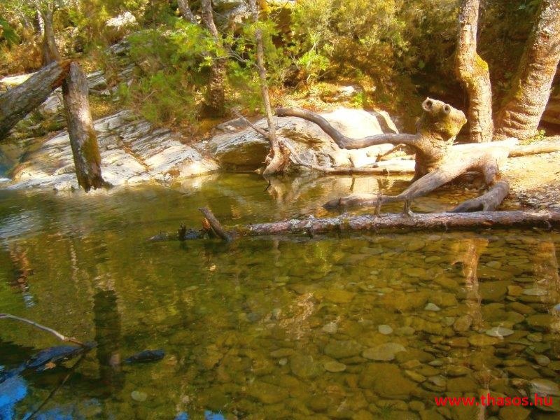 Az öreg falu, a vén platán és a folyók meséje